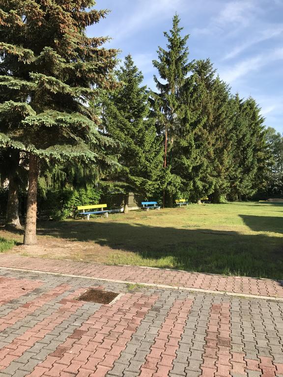 Апартаменти Zielona Noc Дзівнувек Екстер'єр фото